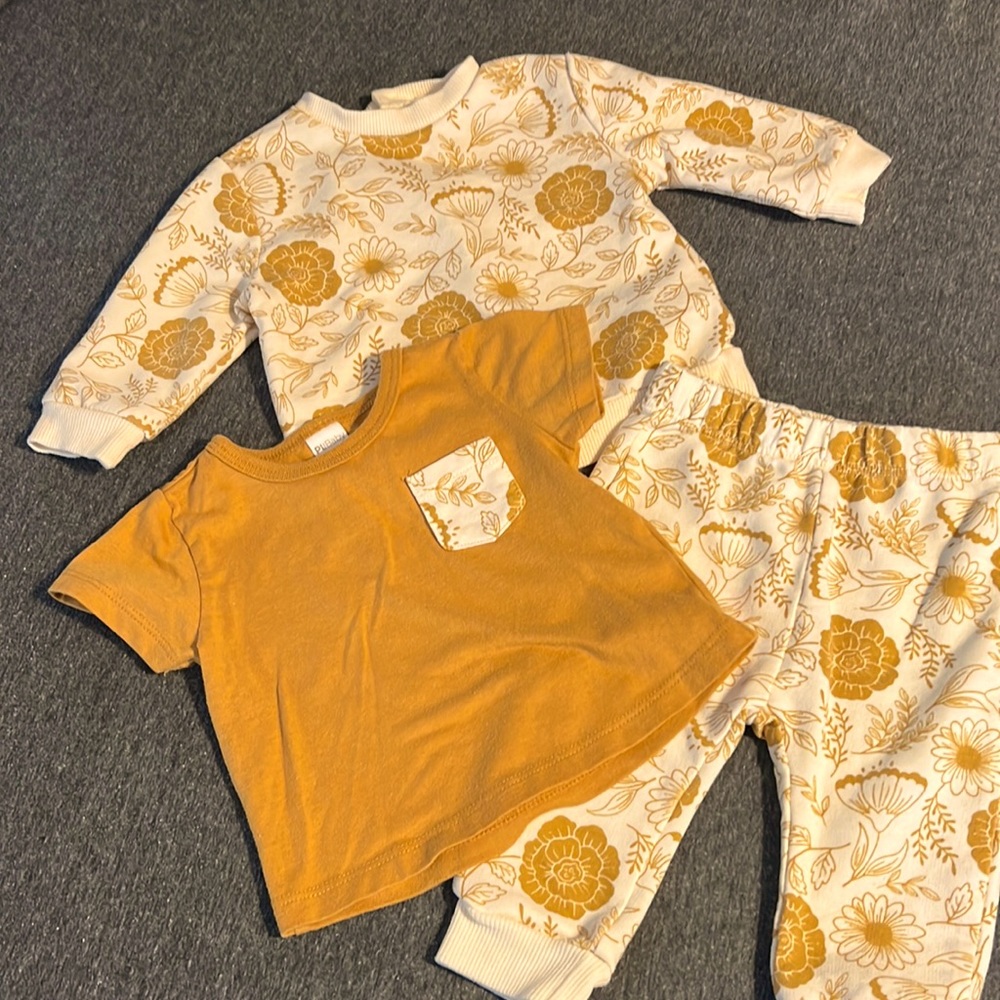 PL Baby Girl 3-Pc Fall Colors Sweatshirt Outfit Set